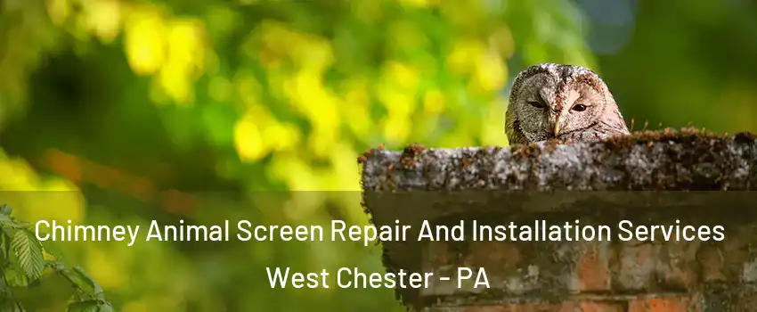  Chimney Animal Screen Repair And Installation Services West Chester - PA