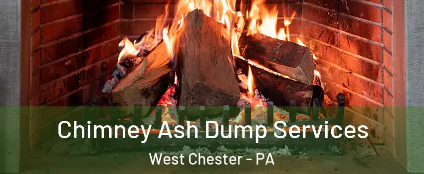  Chimney Ash Dump Services West Chester - PA