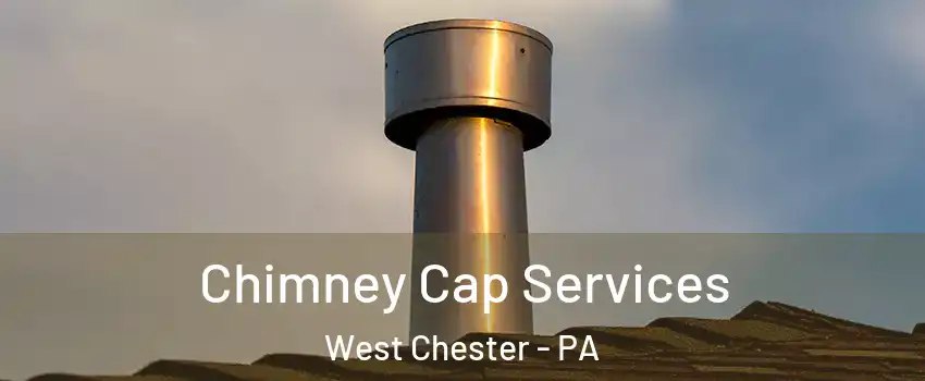  Chimney Cap Services West Chester - PA