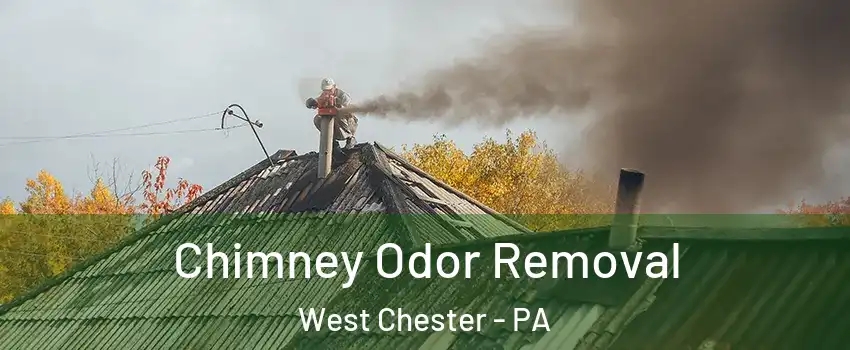  Chimney Odor Removal West Chester - PA