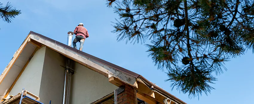 Birds Removal Contractors from Chimney in West Chester, PA