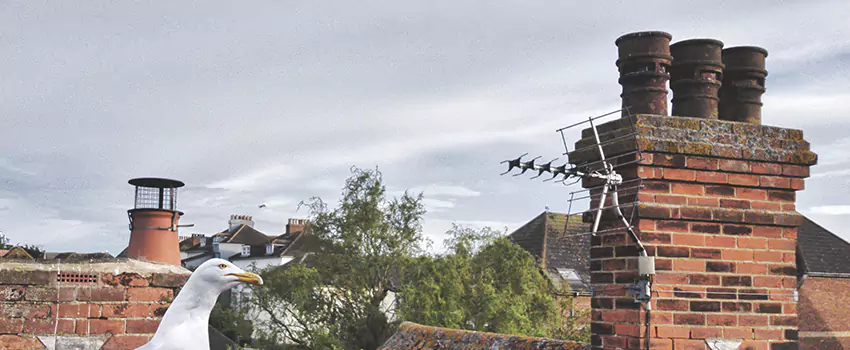 Chimney Cleaning And Restoration in West Chester, Pennsylvania