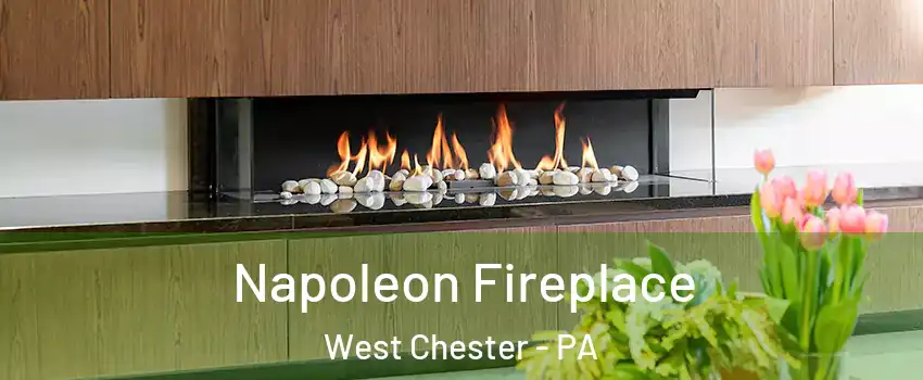  Napoleon Fireplace West Chester - PA