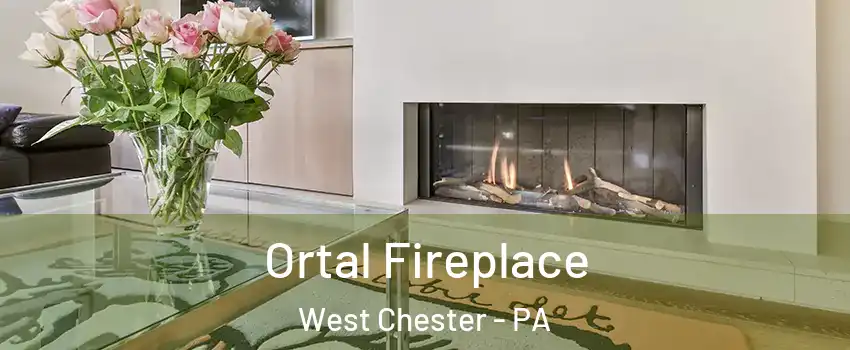  Ortal Fireplace West Chester - PA